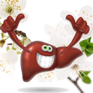 Depurazione-Fegato