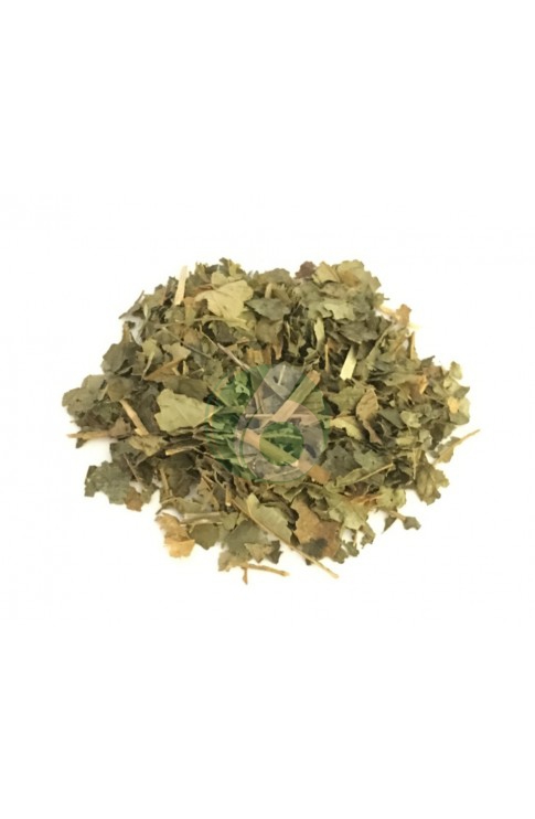 AMAMELIDE FOGLIE TISANA SACCHETTO 100G