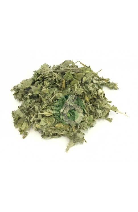 CARCIOFO FOGLIE TISANA SACCHETTO 100G