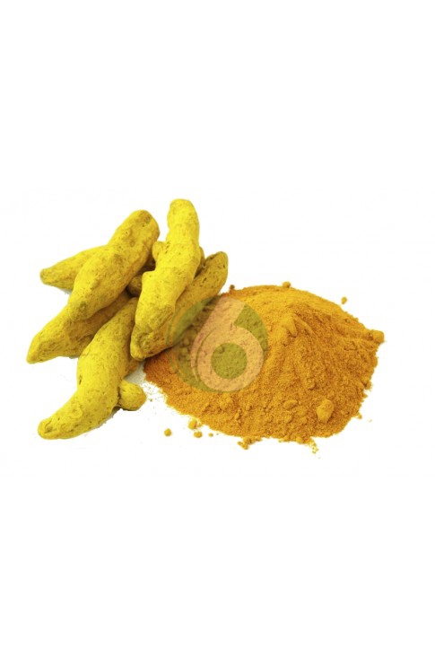 CURCUMA RIZOMA POLVERE SACCHETTO 100G