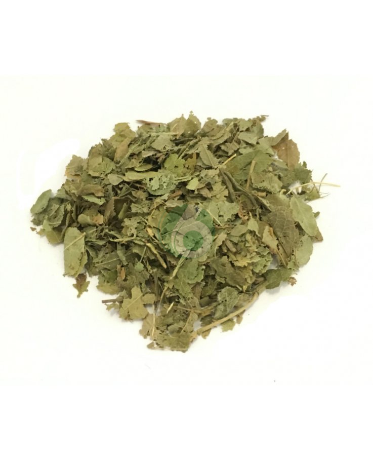 MIRTILLO FOGLIE TISANA SACCHETTO 100G