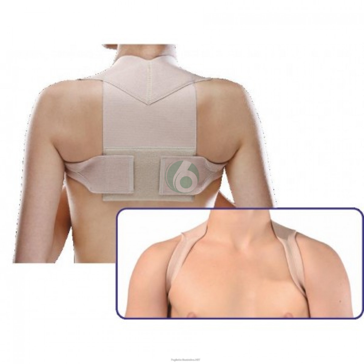 Cliaortho Raddrizzaspalle taglia XS