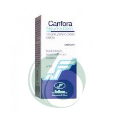 Canfora 10% Soluzione Cutanea 1 Flacone 100 Ml Di 10% Soluzione Cutanea 1 Flacone 1000 Ml Di Soluzione Idroalcolica