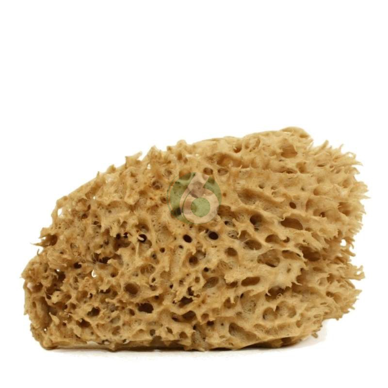 Spugna naturale arcipelago grezza n.10