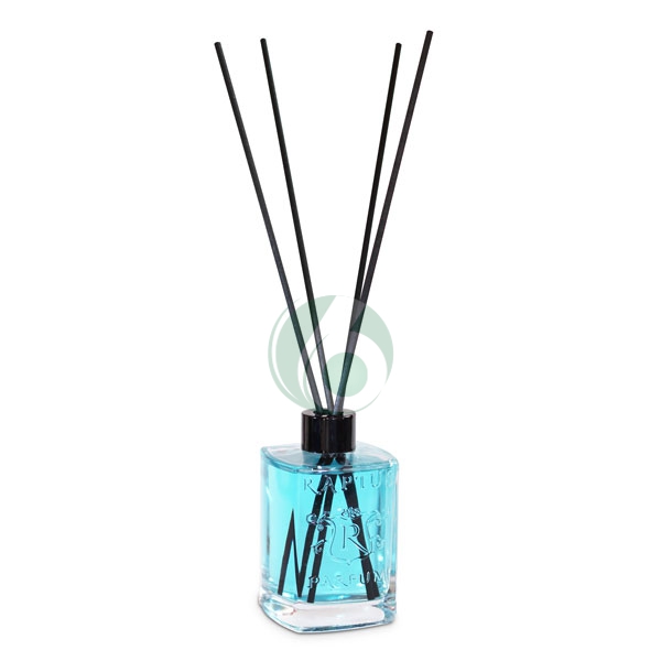 RAPTUS DOMUS PARFUM LUCRETIA 300 ML