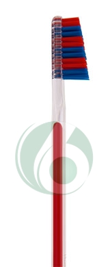 Tau Marin Linea Scalare 33 Testina Grande Spazzolino da Denti Setole Dure