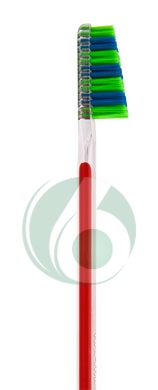 Tau Marin Linea Scalare 33 Testina Grande Spazzolino da Denti Setole Medie